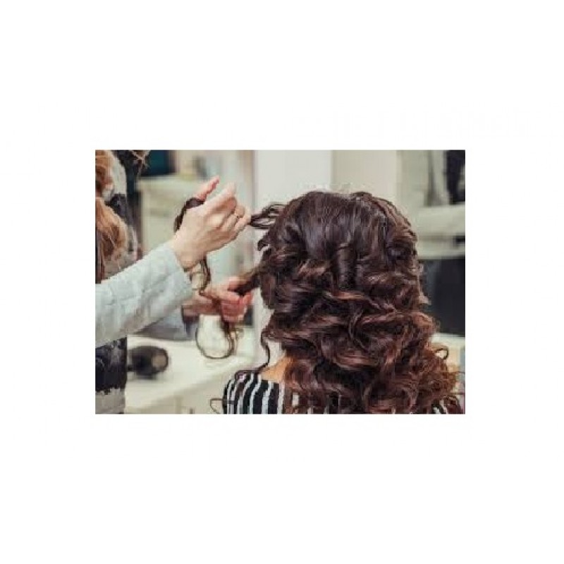 Women's Parlour Women's Parlour