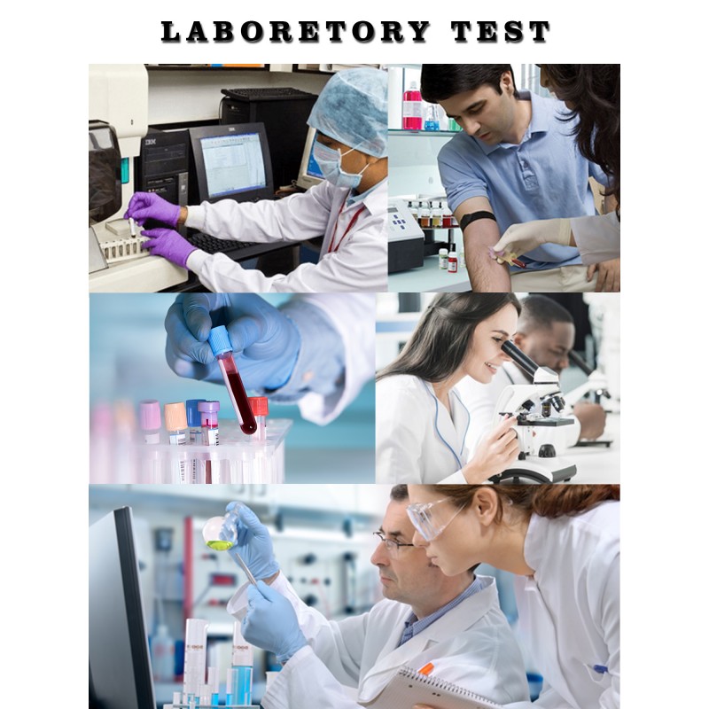 Pathology Laboratory